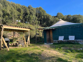 Cabane 2